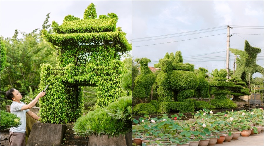 Ngôi làng hơn 800 năm tuổi gìn giữ hồn bonsai Việt