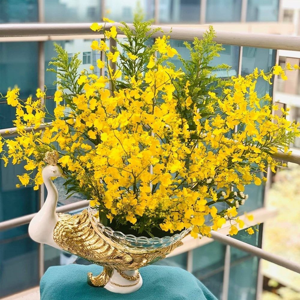 7 loài hoa trước cửa như 