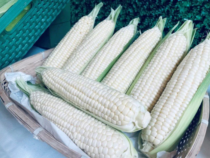 Giống ngô trắng như ngọc, ăn sống được, nông dân bán giá cao vẫn cháy hàng