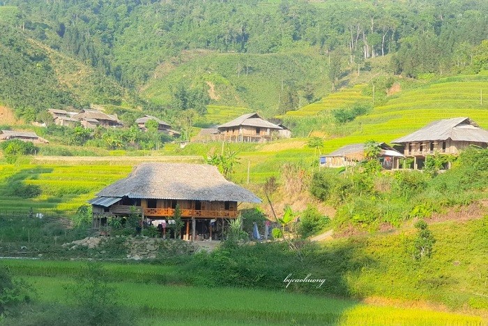 Lào Cai: Làng quê đẹp như phim, du lịch cộng đồng nở rộ, người dân có thêm thu nhập