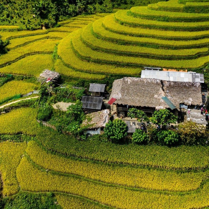 Lào Cai: Làng quê đẹp như phim, du lịch cộng đồng nở rộ, người dân có thêm thu nhập