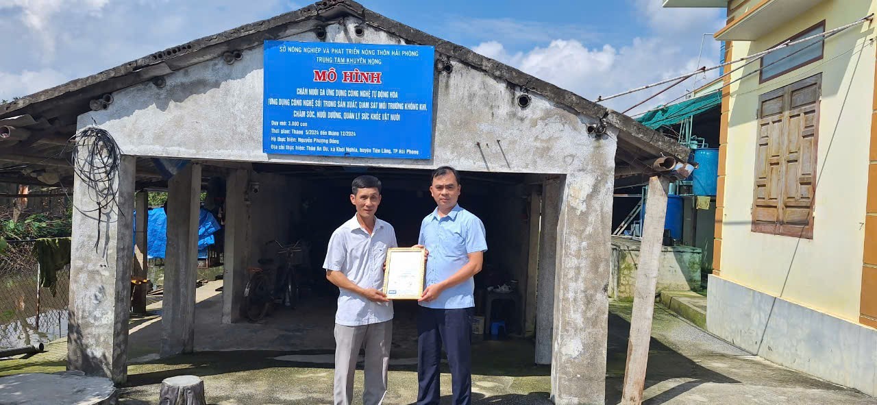 Nuôi gà theo quy trình VietGAHP, nông dân Hải Phòng thu lợi nhuận vượt trội