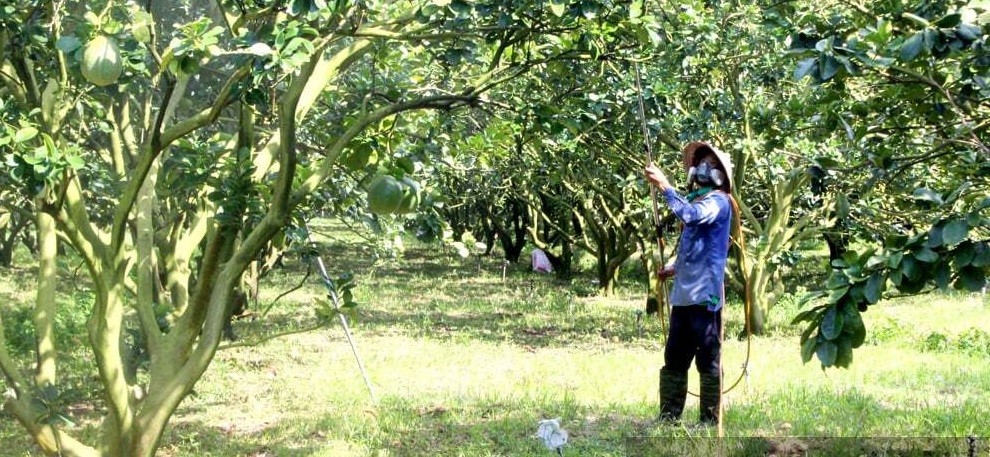 Từ thợ cơ khí nghèo đến chủ trang trại 100 ha, người đàn ông được vinh danh Nông dân Việt Nam xuất sắc 2025
