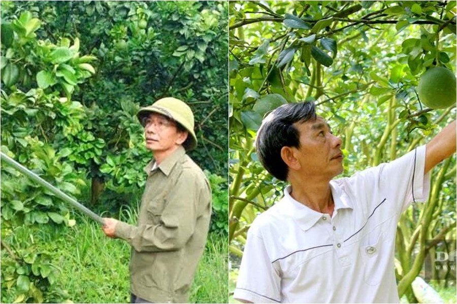 Từ thợ cơ khí nghèo đến chủ trang trại 100 ha, người đàn ông được vinh danh Nông dân Việt Nam xuất sắc 2025