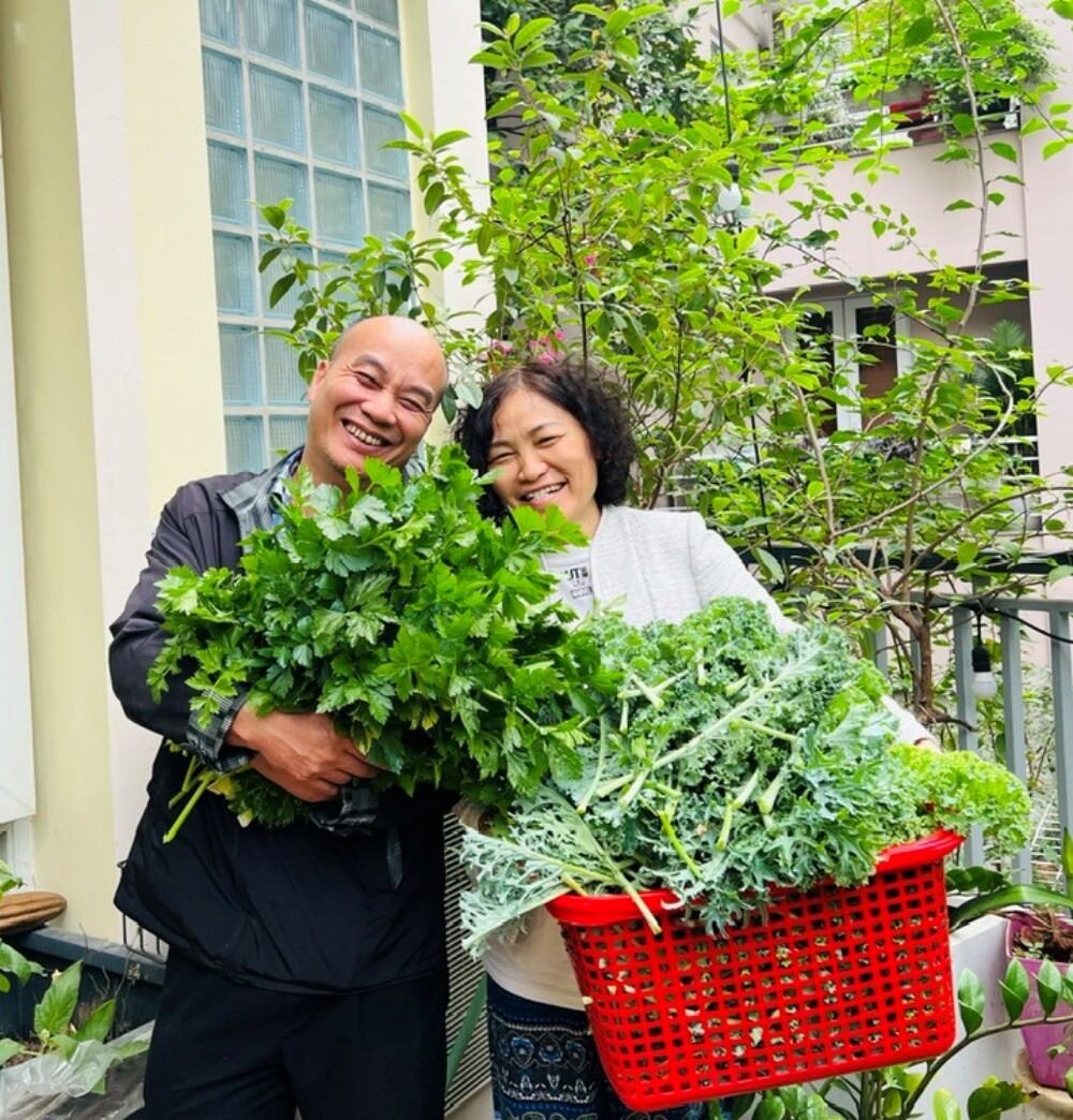 Chi 100 triệu, bác sĩ Hà Nội trồng rau nuôi cá trên sân thượng, thu hoạch quanh năm Chi 100 triệu, bác sĩ Hà Nội trồng rau nuôi cá trên sân thượng, thu hoạch quanh năm