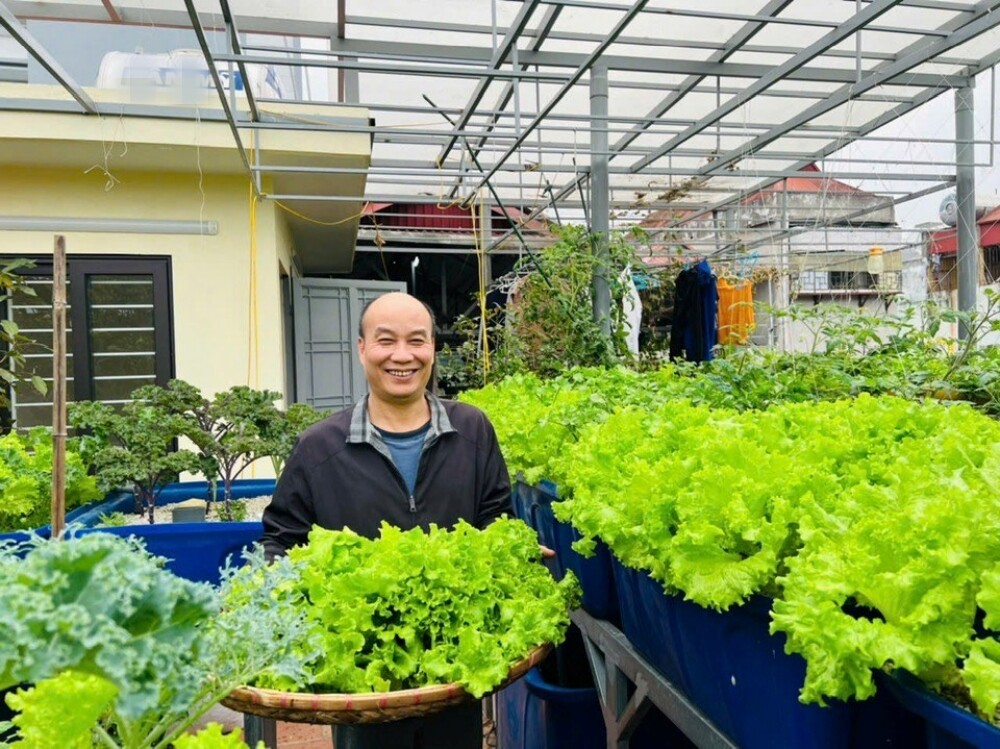 Chi 100 triệu, bác sĩ Hà Nội trồng rau nuôi cá trên sân thượng, thu hoạch quanh năm Chi 100 triệu, bác sĩ Hà Nội trồng rau nuôi cá trên sân thượng, thu hoạch quanh năm