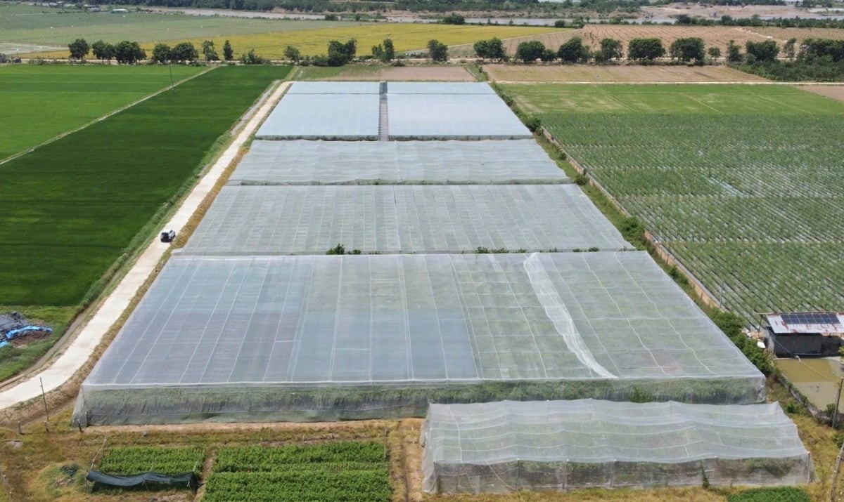 Hợp tác công – tư thúc đẩy du lịch nông nghiệp vùng nho, táo Nam Trung Bộ Hợp tác công – tư thúc đẩy du lịch nông nghiệp vùng nho, táo Nam Trung Bộ