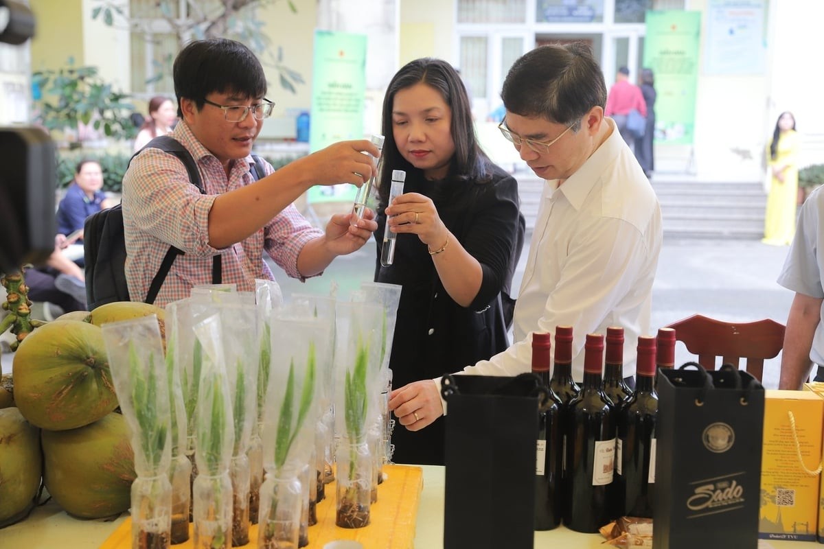 ĐBSCL kỳ vọng ngành dừa bứt phá nhờ công nghệ và chế biến sâu ĐBSCL kỳ vọng ngành dừa bứt phá nhờ công nghệ và chế biến sâu