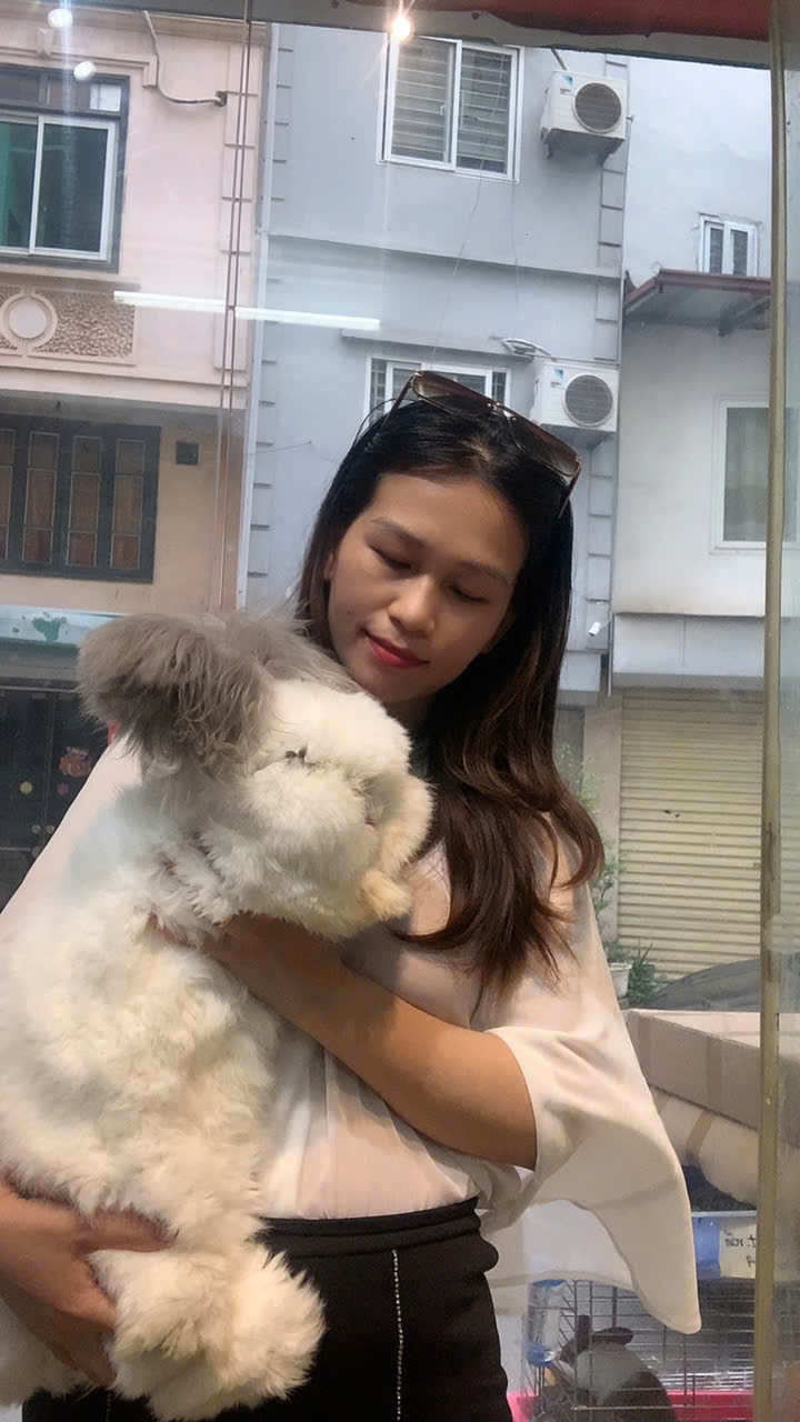 Xu hướng nuôi thỏ cảnh: Khi người thành thị đi tìm sự mềm mại và chữa lành